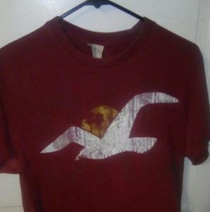 3 Hollister T-shirts sz large